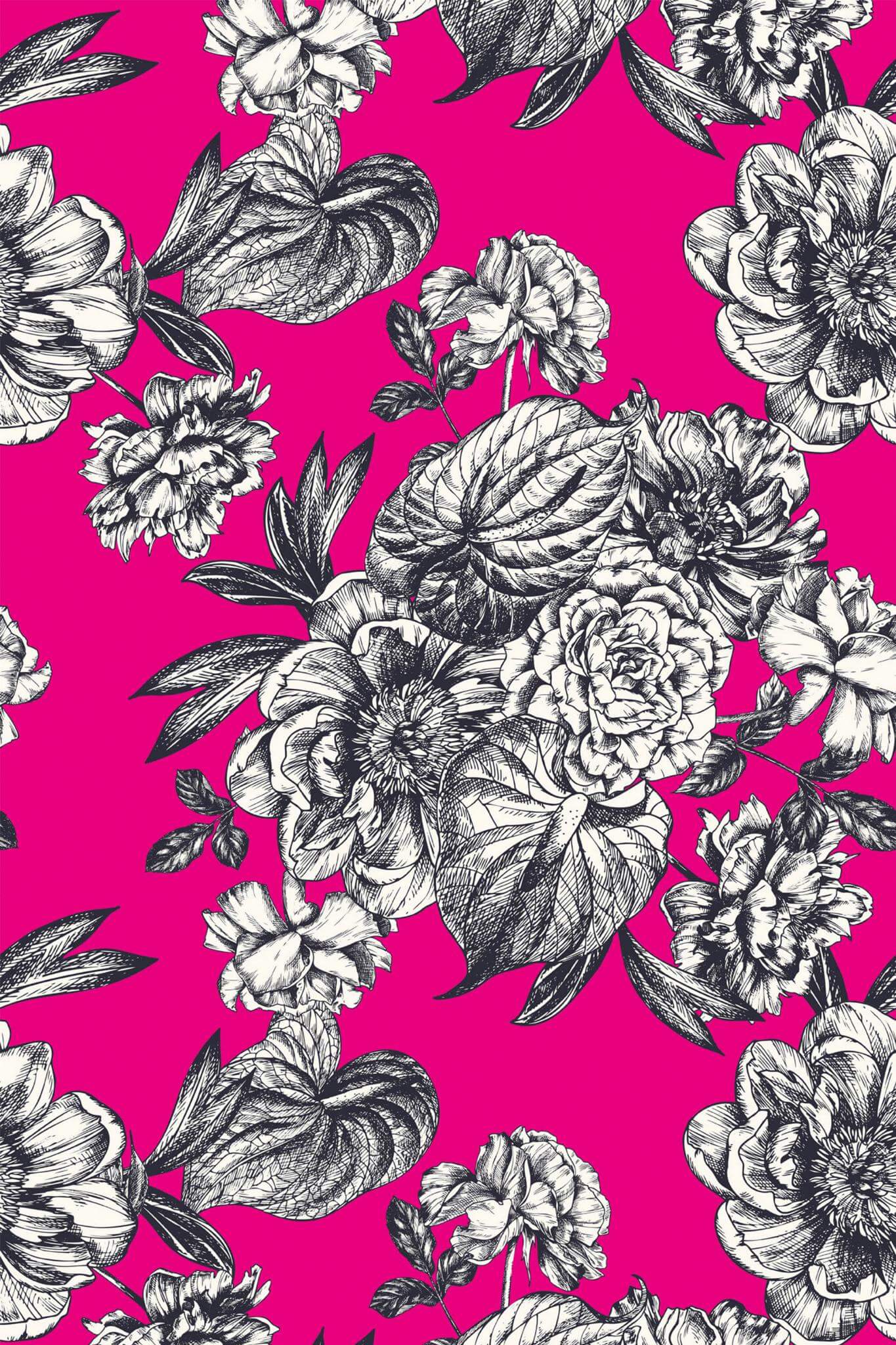 Hot Pink Wallpapers - 4k, HD Hot Pink Backgrounds on WallpaperBat