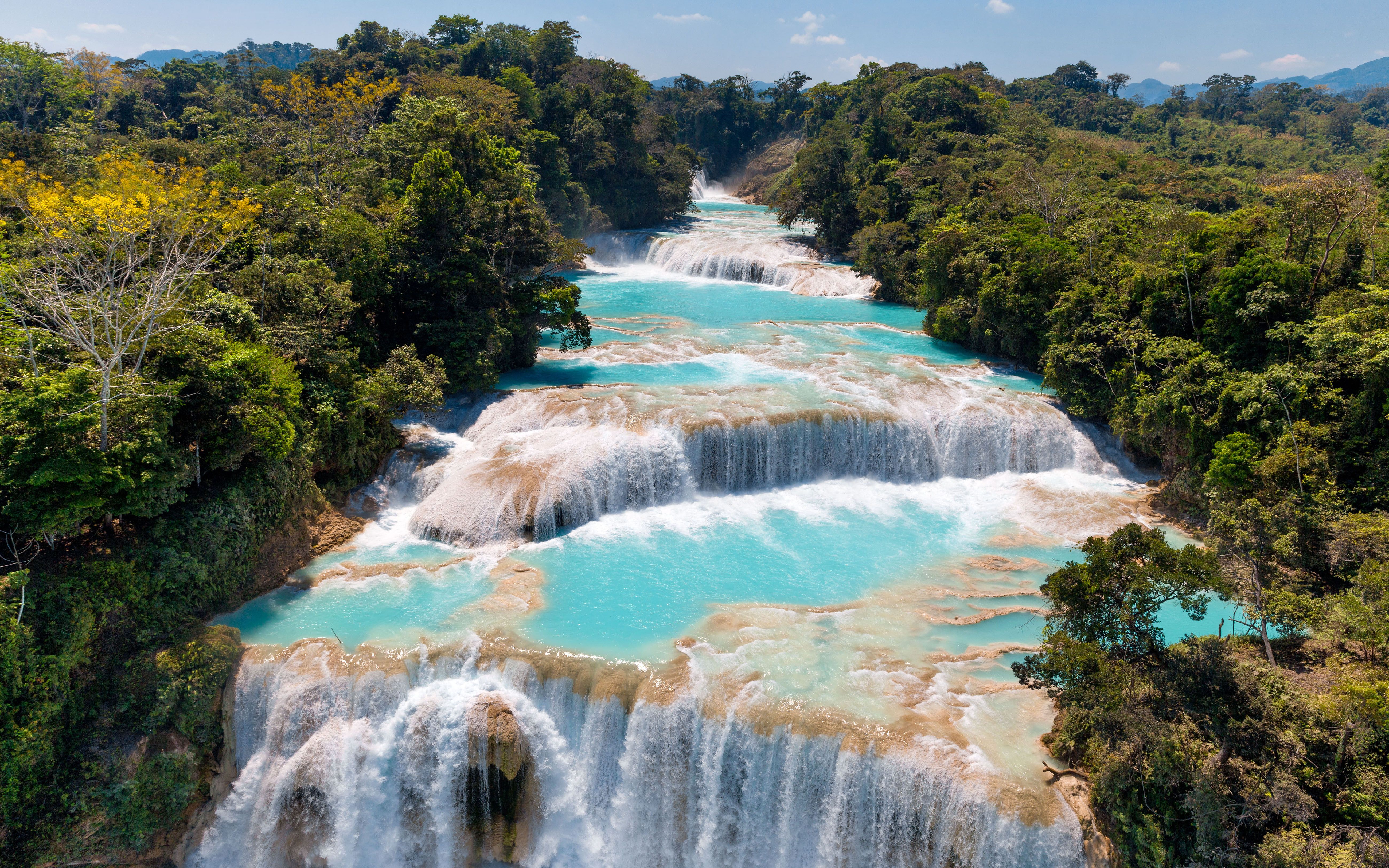 Acompañantes Mexico