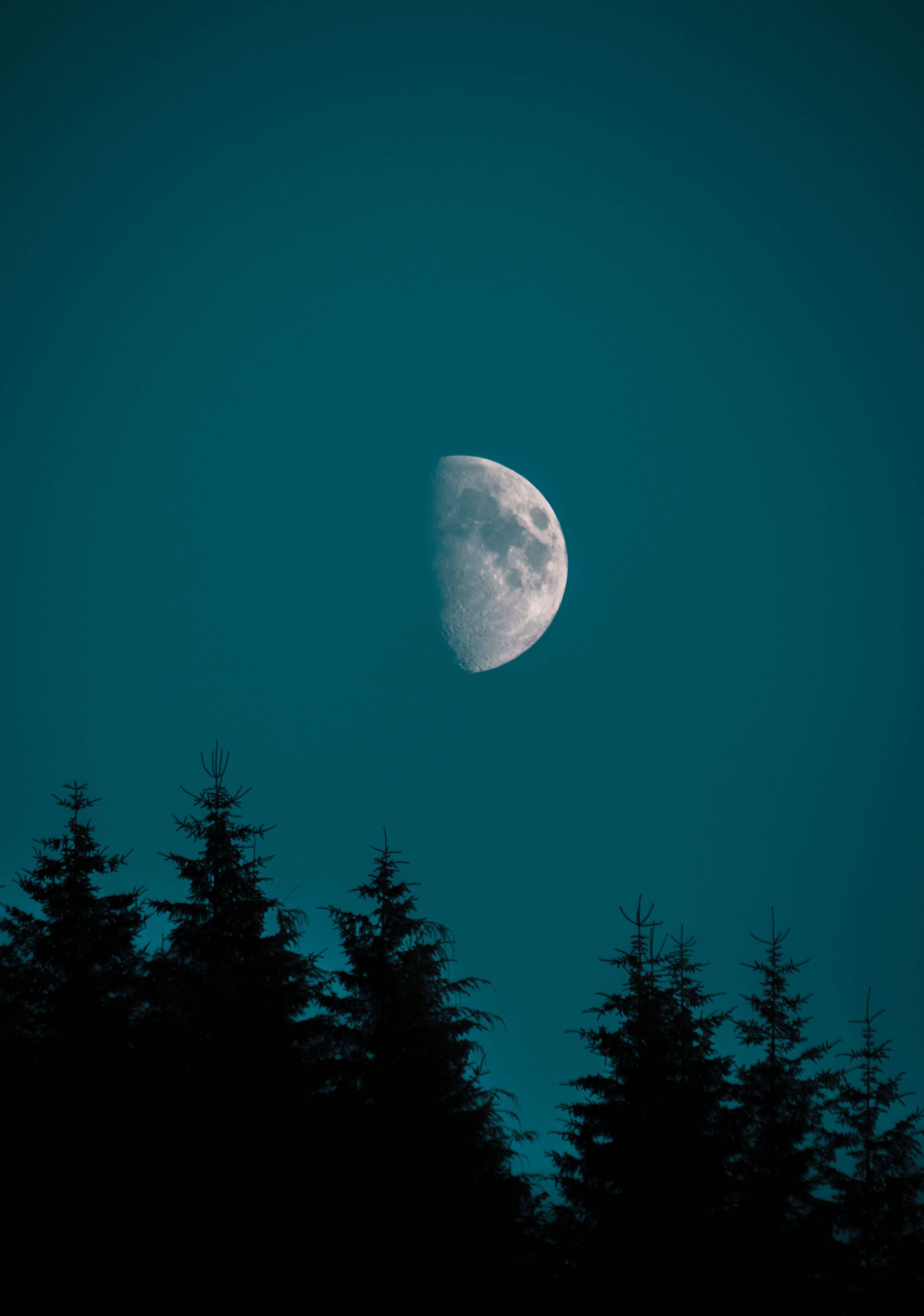 Half Moon Wallpapers - 4k, HD Half Moon Backgrounds on WallpaperBat