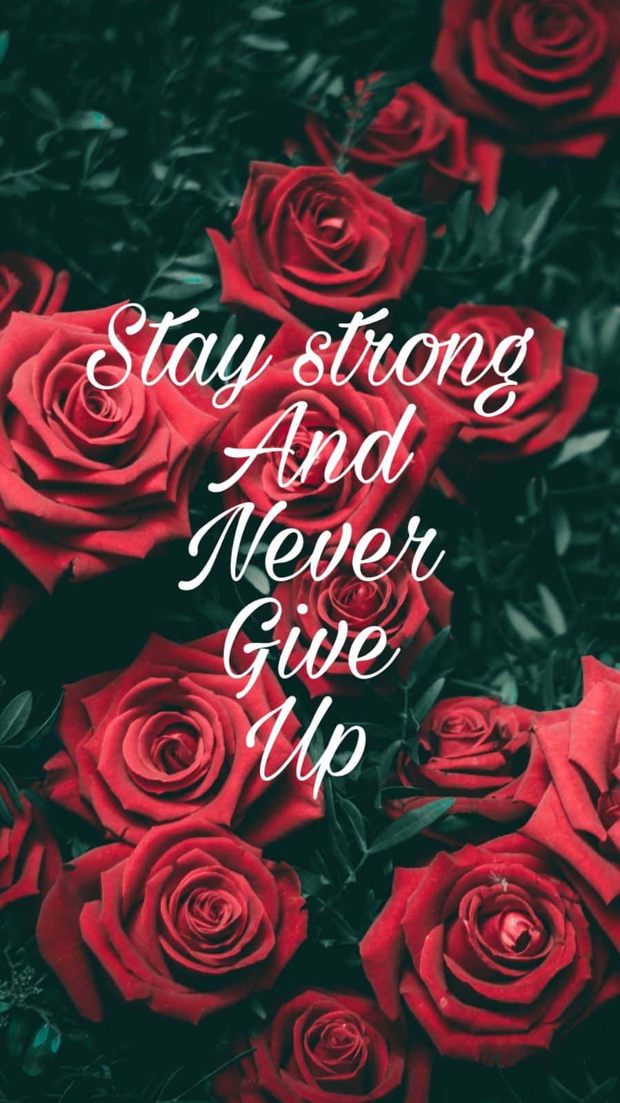 Stay Strong Wallpapers - 4k, HD Stay Strong Backgrounds on WallpaperBat