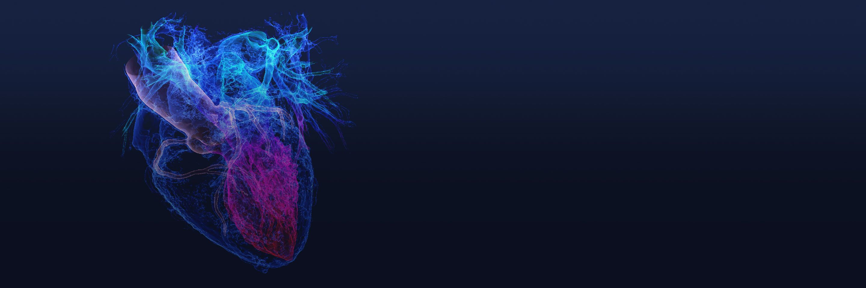 Cardiology Wallpapers - 4k, HD Cardiology Backgrounds on WallpaperBat