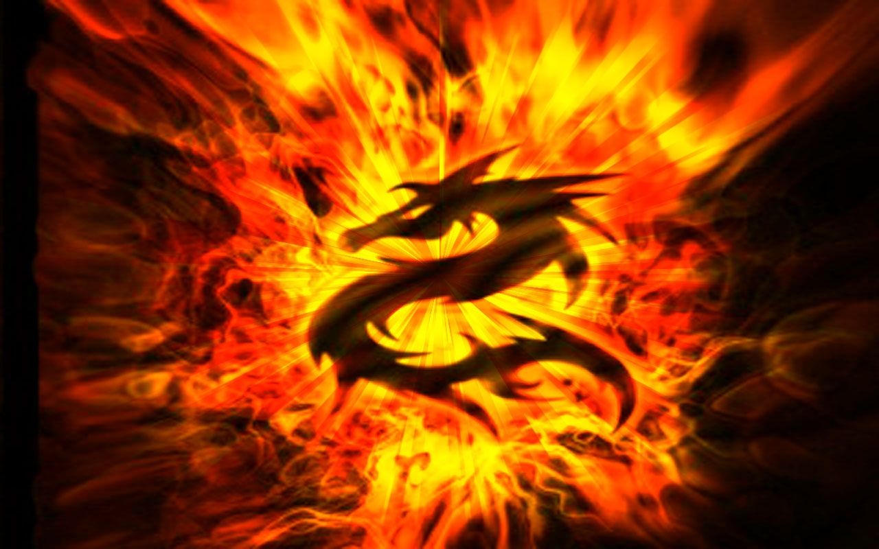 Fire Dragon Wallpapers 4k Hd Fire Dragon Backgrounds On Wallpaperbat 