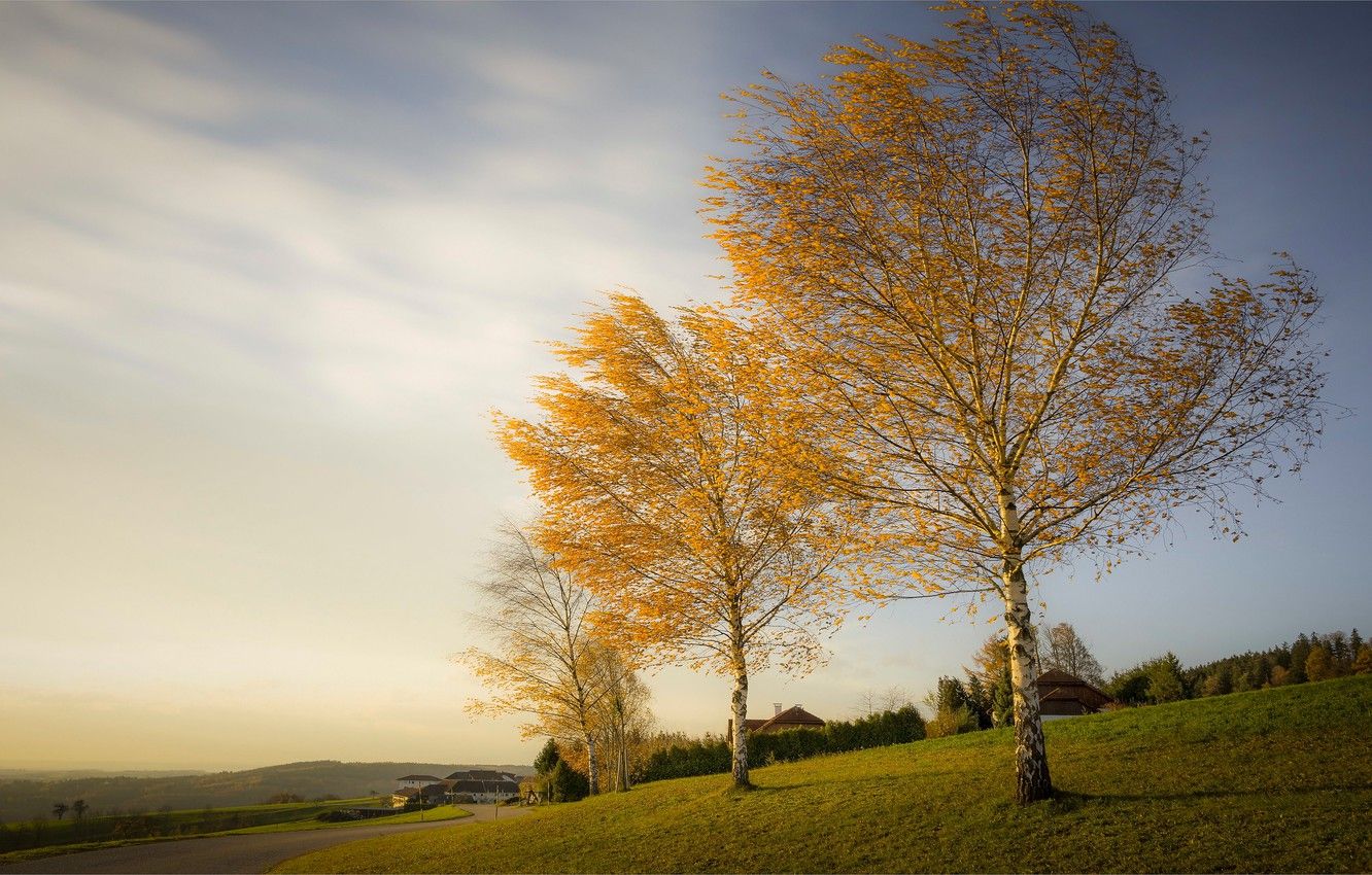 Autumn Meadow Wallpapers - 4k, HD Autumn Meadow Backgrounds on WallpaperBat