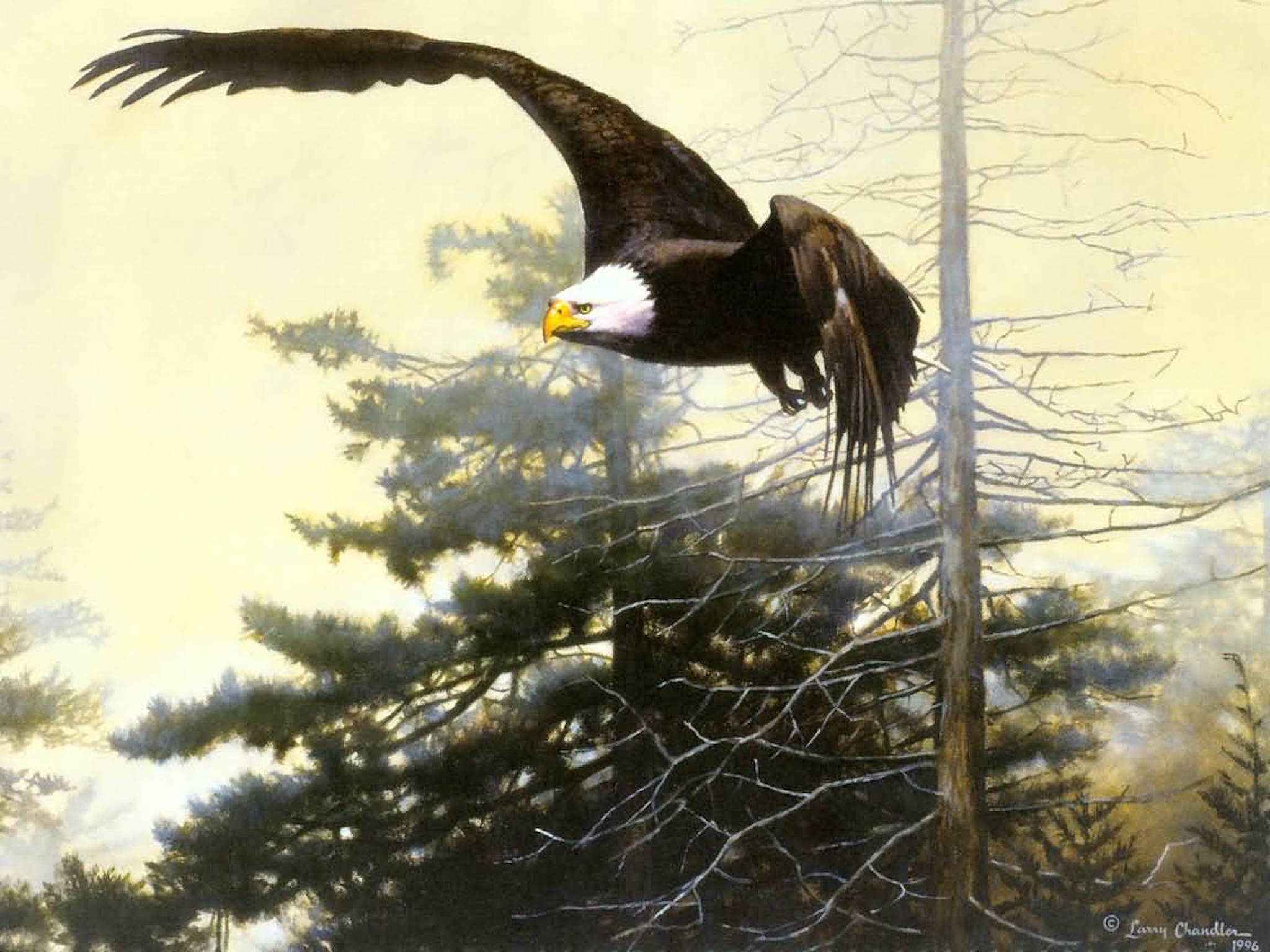 Eagle Painting Wallpapers - 4k, HD Eagle Painting Backgrounds on ...