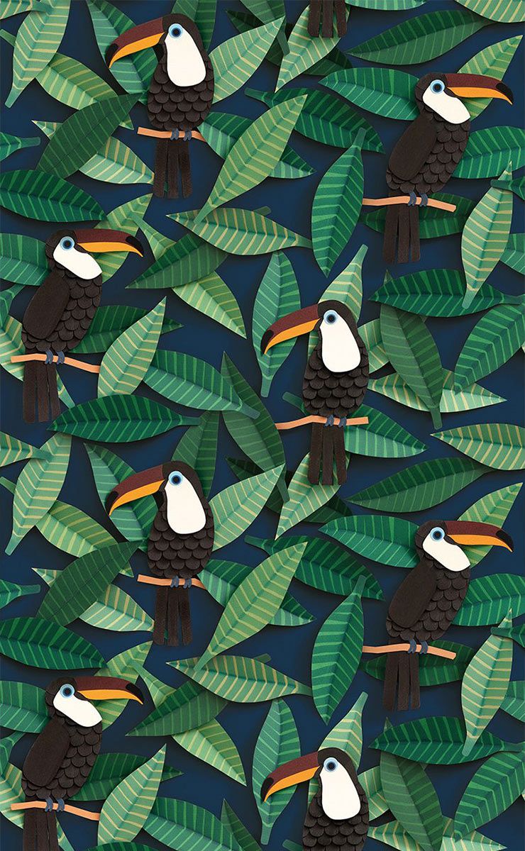 Toucan Wallpapers - 4k, HD Toucan Backgrounds on WallpaperBat