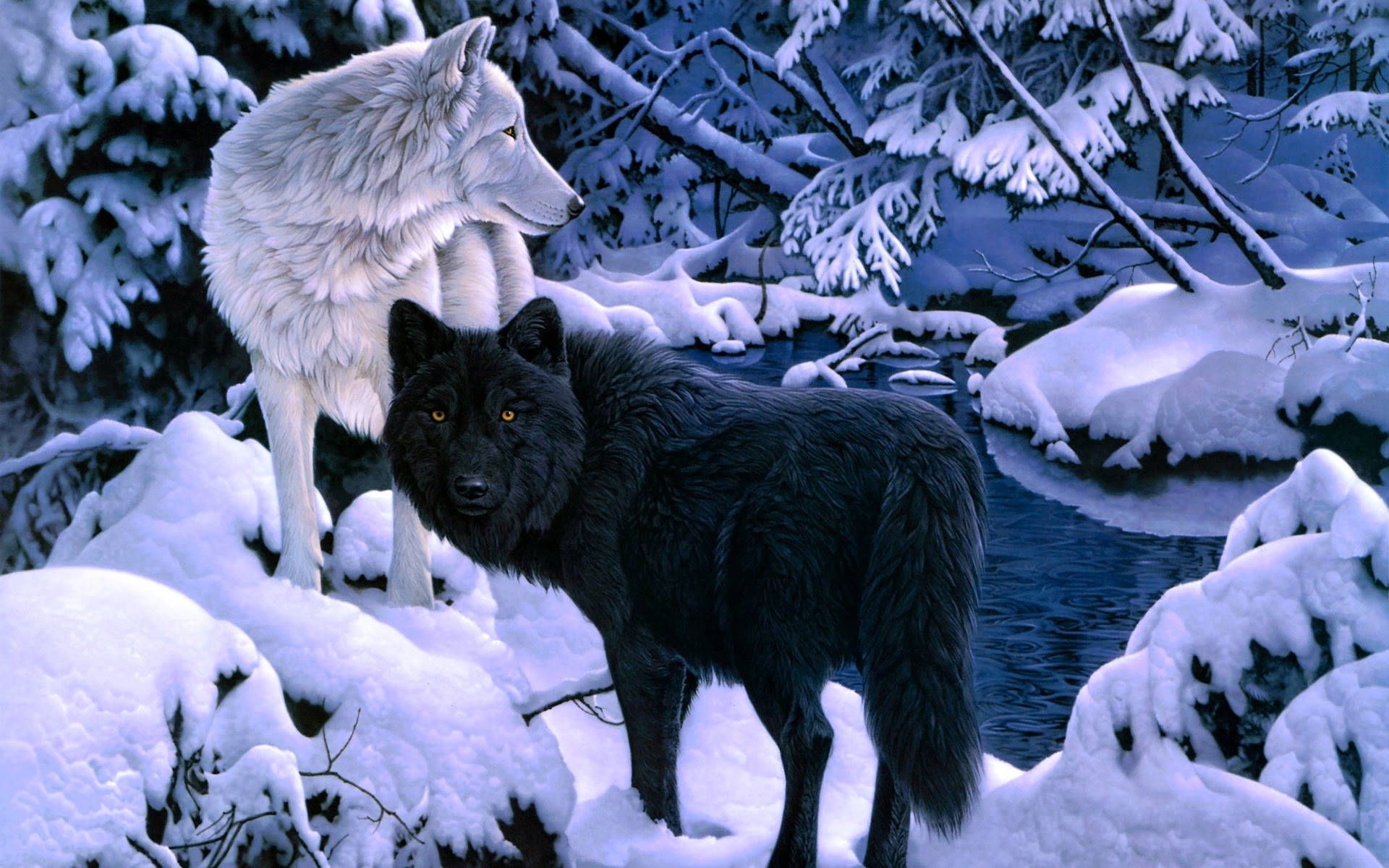 1920x1200 100+] Black Wolf Wallpapers ... Wallpaper