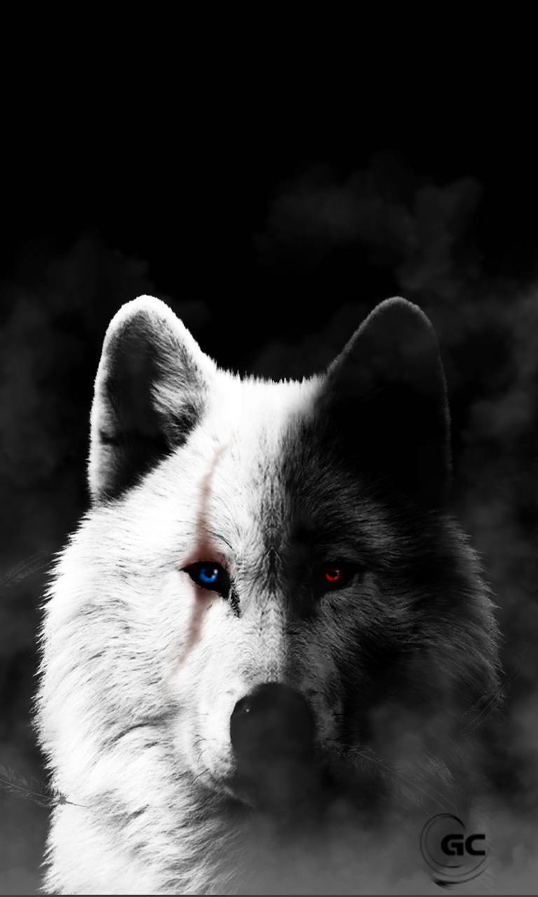 768x1280 Cool Black And White Wolf Wallpapers ... Wallpaper