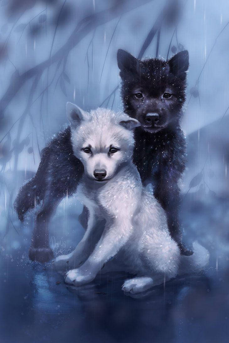 730x1095 White Wolf Pups In Rain Wallpaper ... Wallpaper