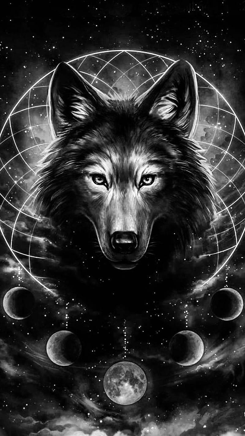 800x1422 white, wolf, HD phone wallpaper | Peakpx Wallpaper