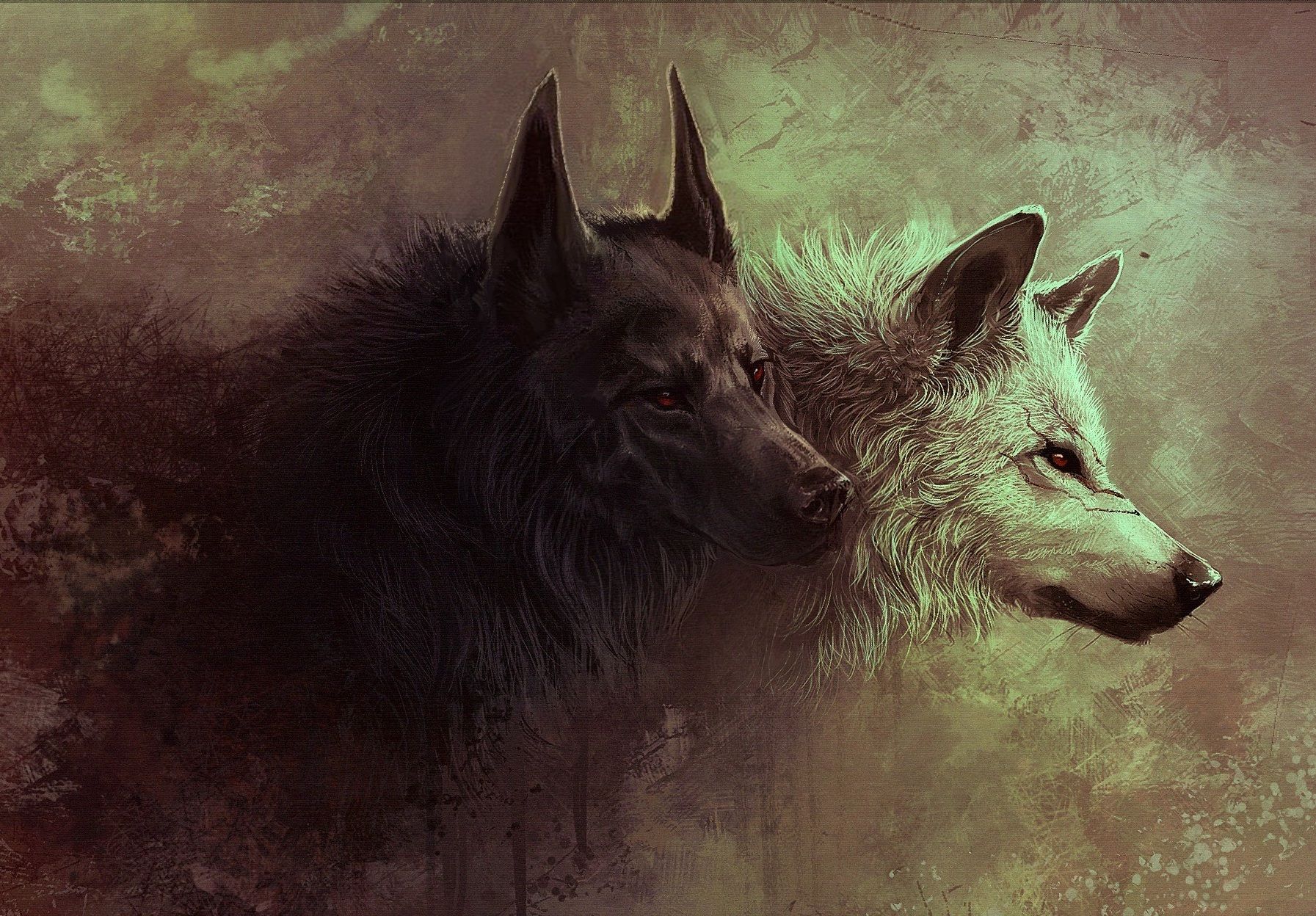 1793x1248 Animal Wolf Wallpaper Wallpaper