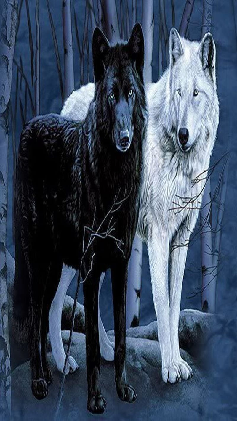 800x1422 white wolf, HD phone wallpaper | Peakpx Wallpaper