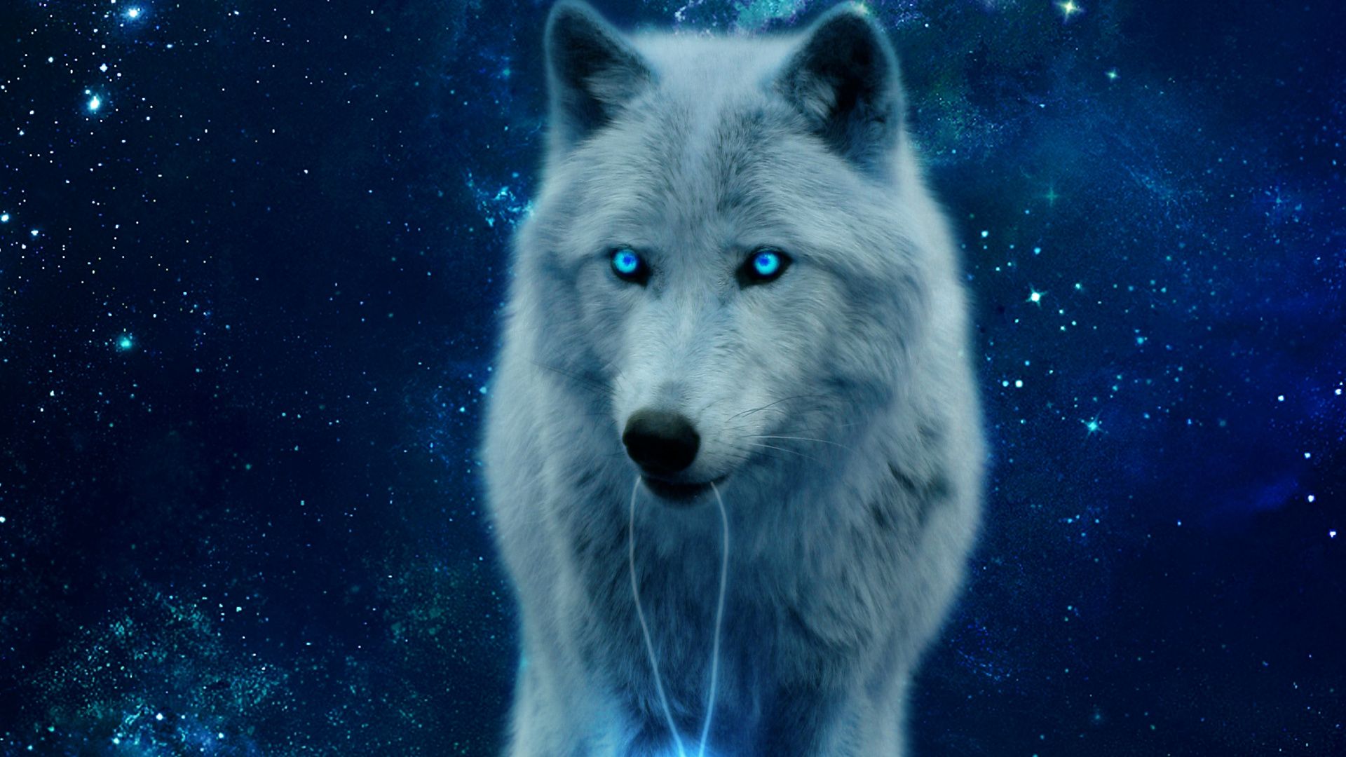 1920x1080 White Wolf With Black Background Full ... Wallpaper