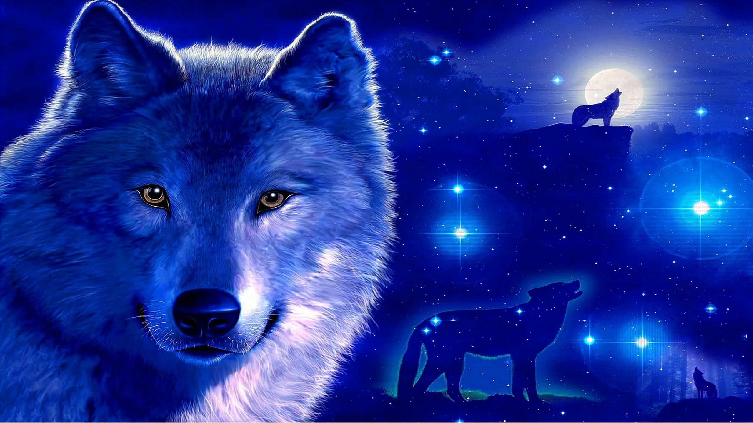 Blue Wolf Wallpapers - 4k, HD Blue Wolf Backgrounds on WallpaperBat