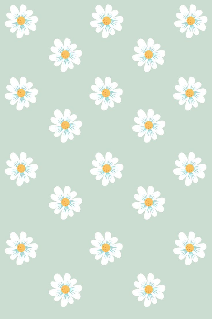 Cute Flower Wallpapers - 4k, HD Cute Flower Backgrounds on WallpaperBat