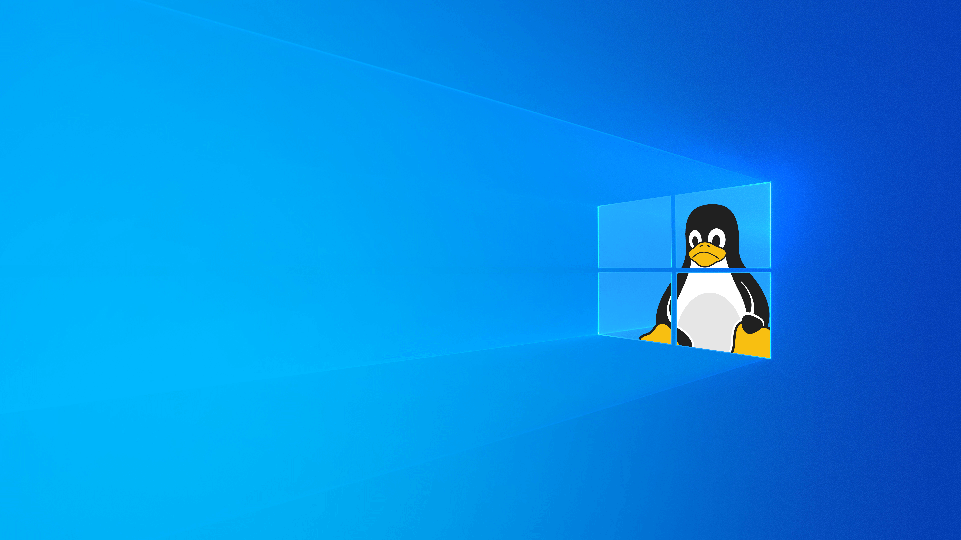 Windows linux