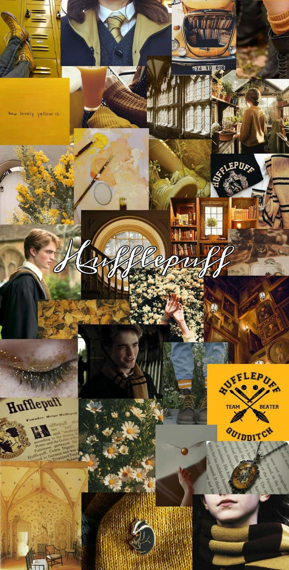 Hufflepuff Wallpapers 4k Hd Hufflepuff Backgrounds On Wallpaperbat 1220