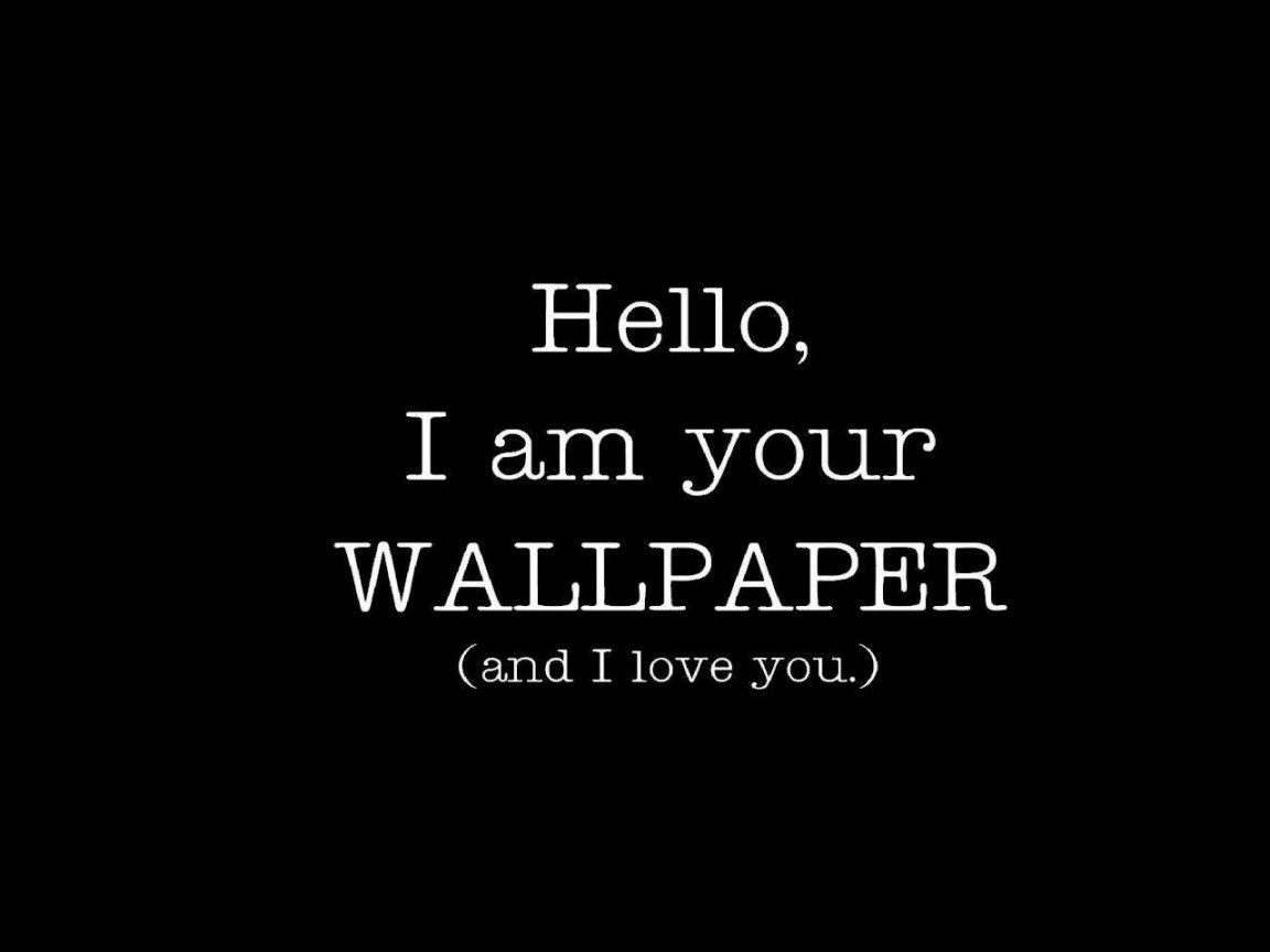 Funny Quotes Wallpapers 4k, HD Funny Quotes Backgrounds on WallpaperBat