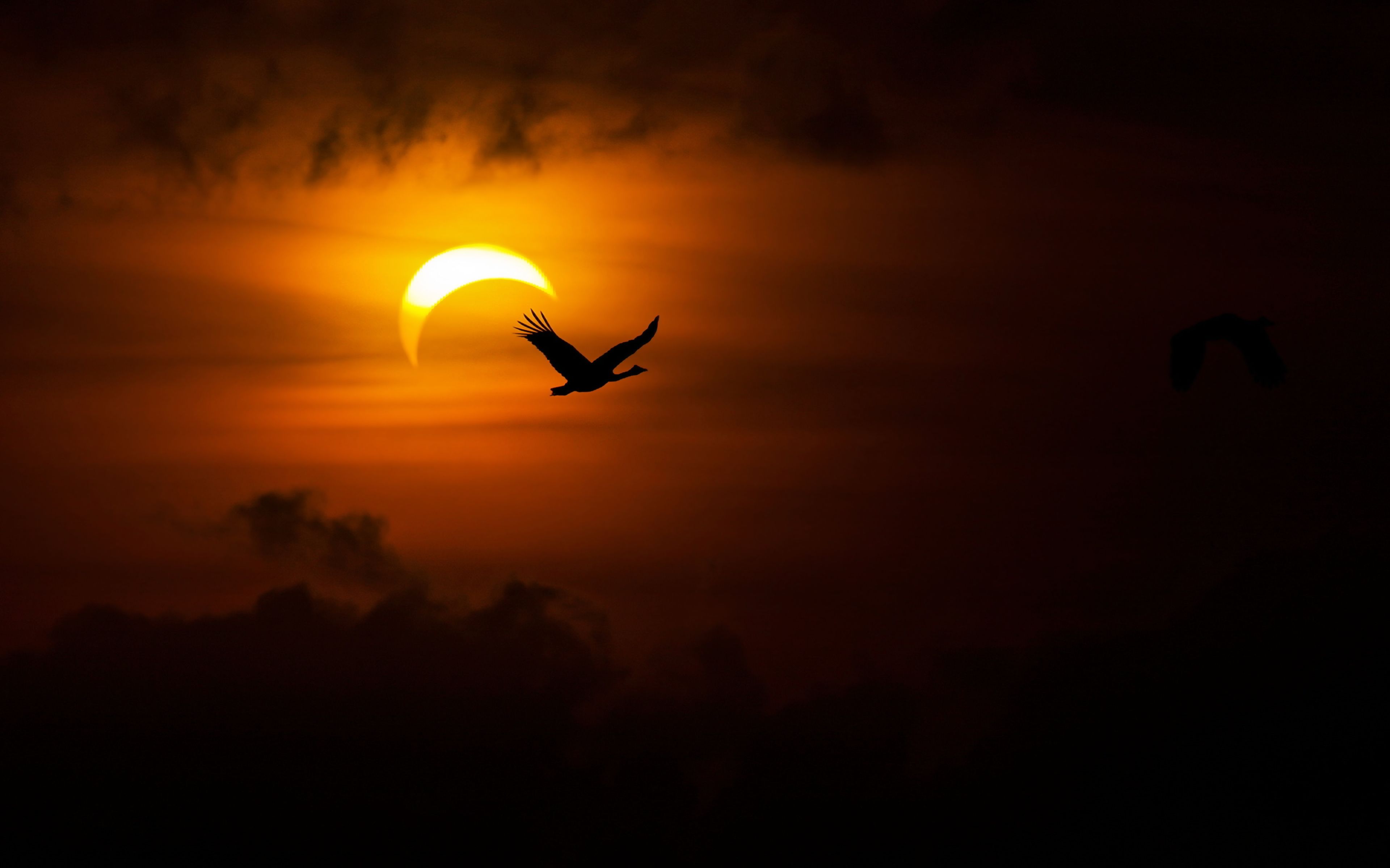 Solar Eclipse Wallpapers - 4k, HD Solar Eclipse Backgrounds on WallpaperBat