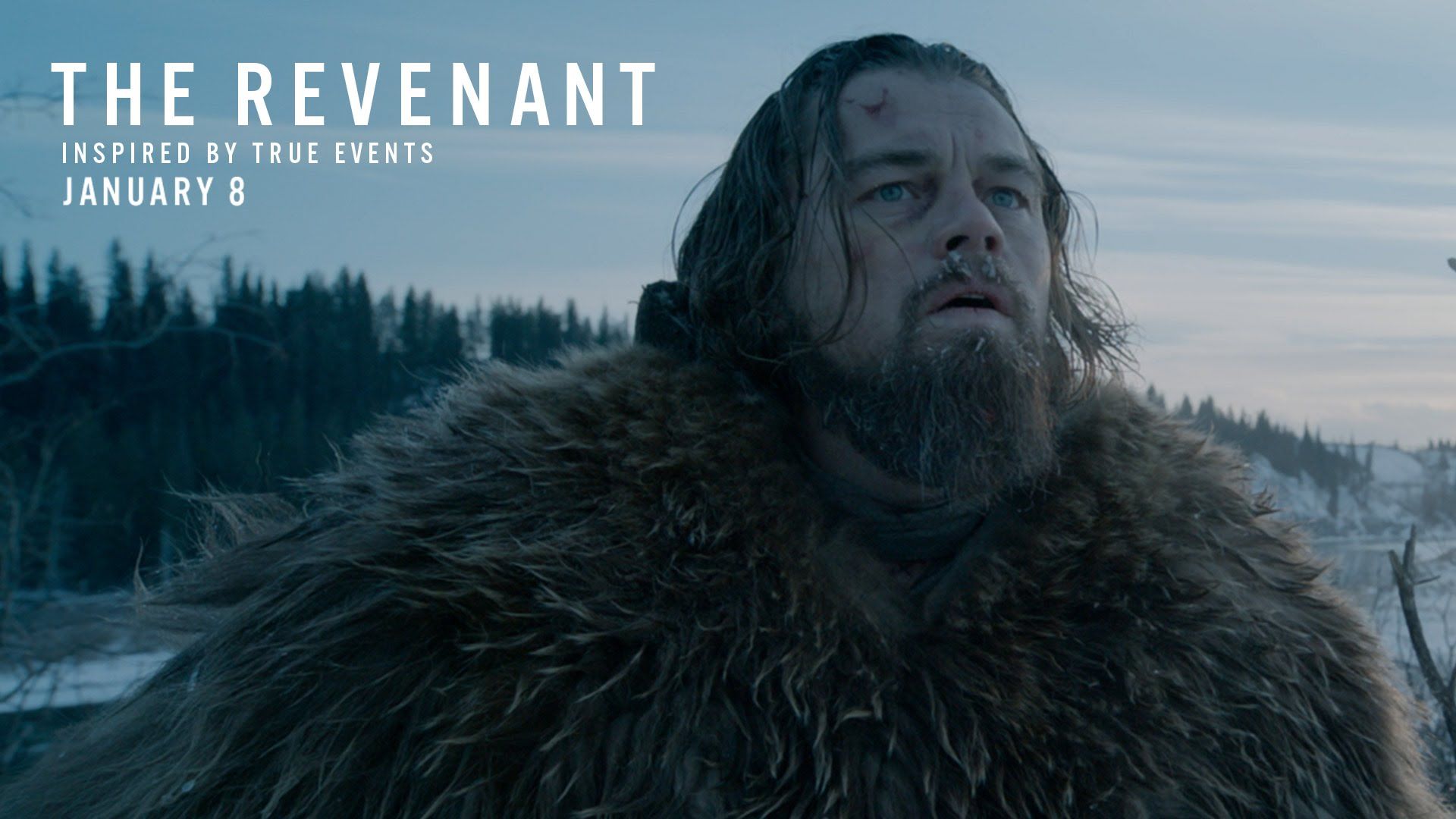 The Revenant Wallpapers - 4k, HD The Revenant Backgrounds On WallpaperBat