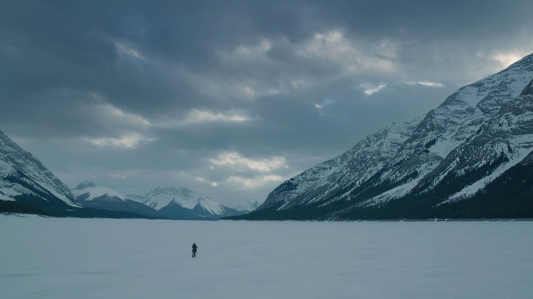 The Revenant Wallpapers - 4k, HD The Revenant Backgrounds on WallpaperBat