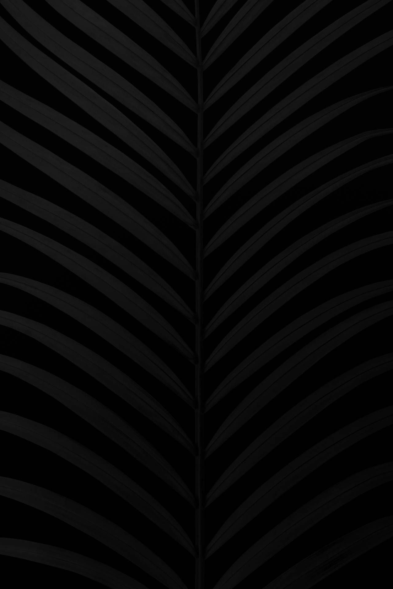 Black uhd wallpapers 4k hd black uhd backgrounds on wallpaperbat