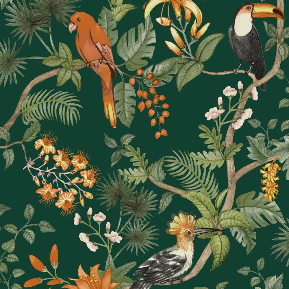 1000x1000 Tempaper Birds of Paradise Rainforest ... Wallpaper