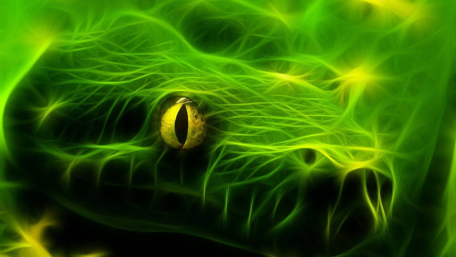 Neon Snake Wallpapers - 4k, HD Neon Snake Backgrounds on WallpaperBat