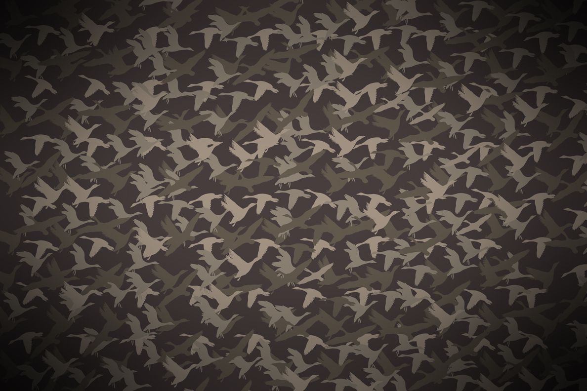 duck commander iphone wallpaper