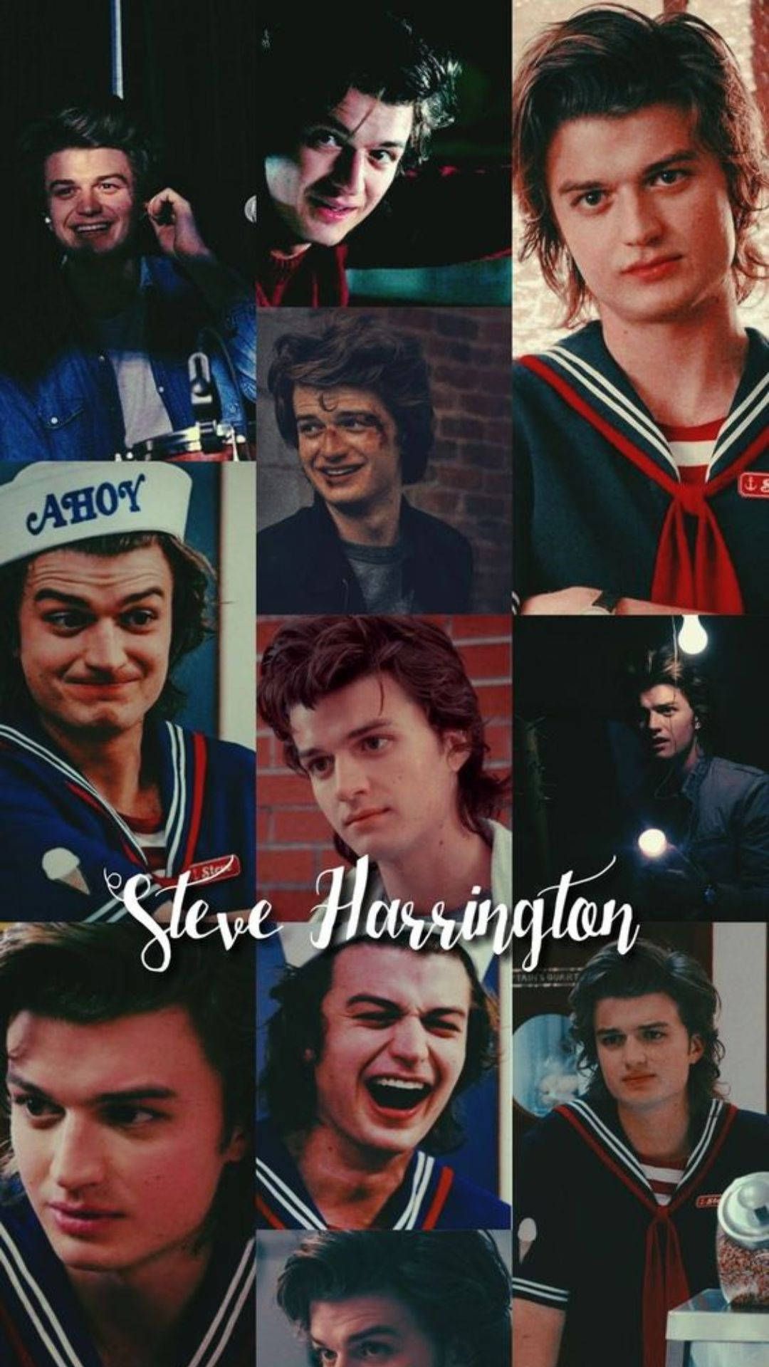 Steve Harrington Wallpapers - 4k, HD Steve Harrington Backgrounds on ...