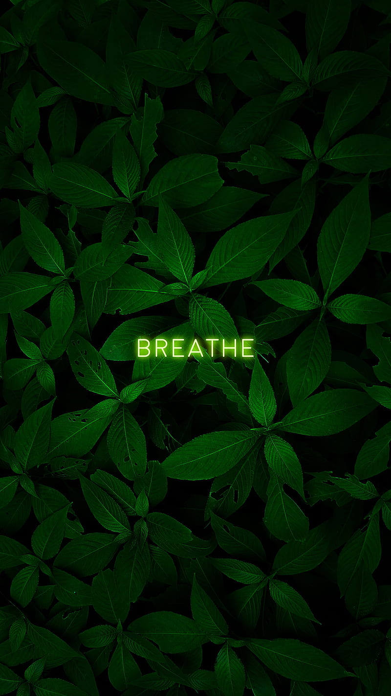 Breathe Wallpapers - 4k, HD Breathe Backgrounds on WallpaperBat