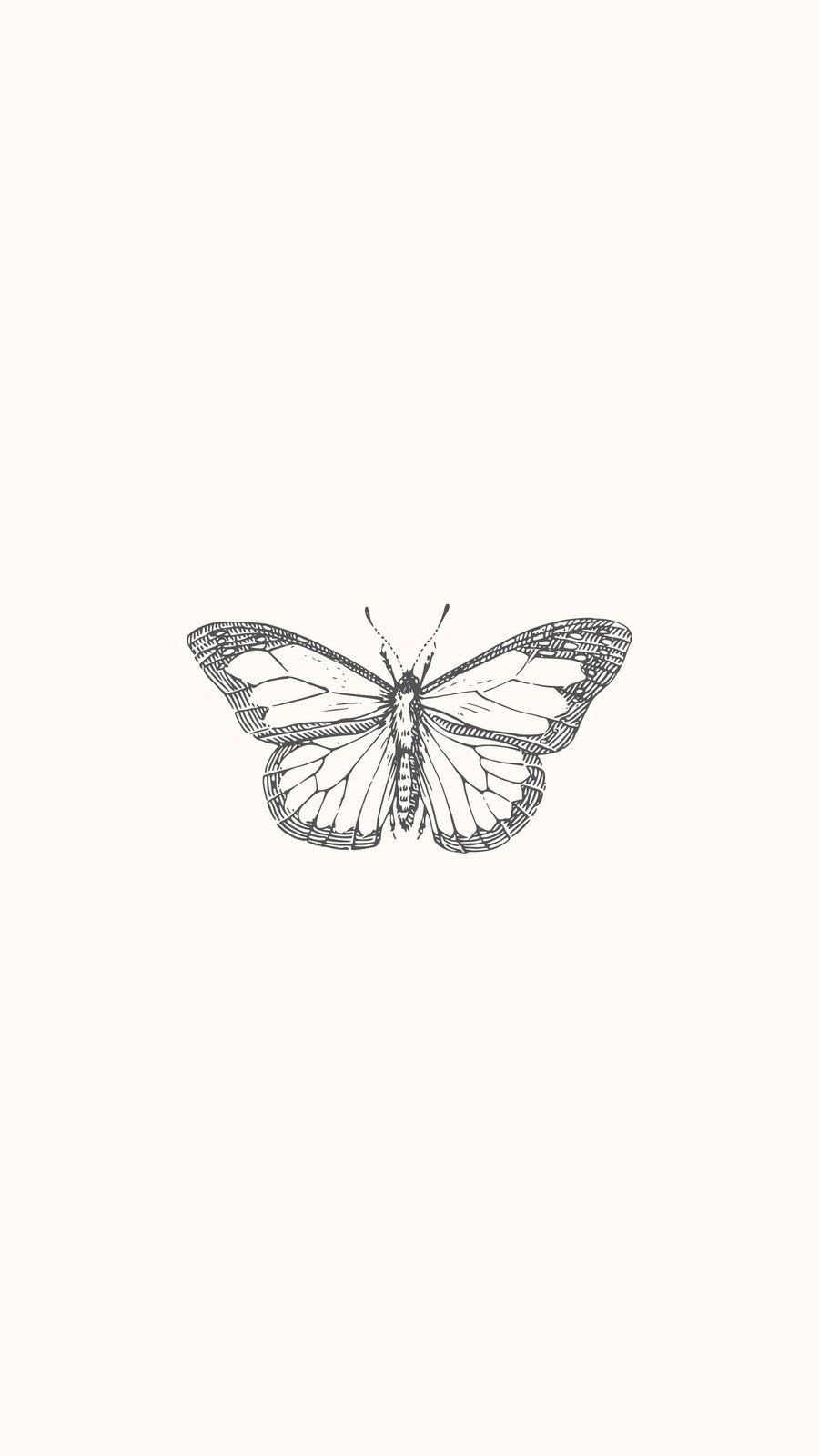 Simple Butterfly Wallpapers - 4k, HD Simple Butterfly Backgrounds on ...