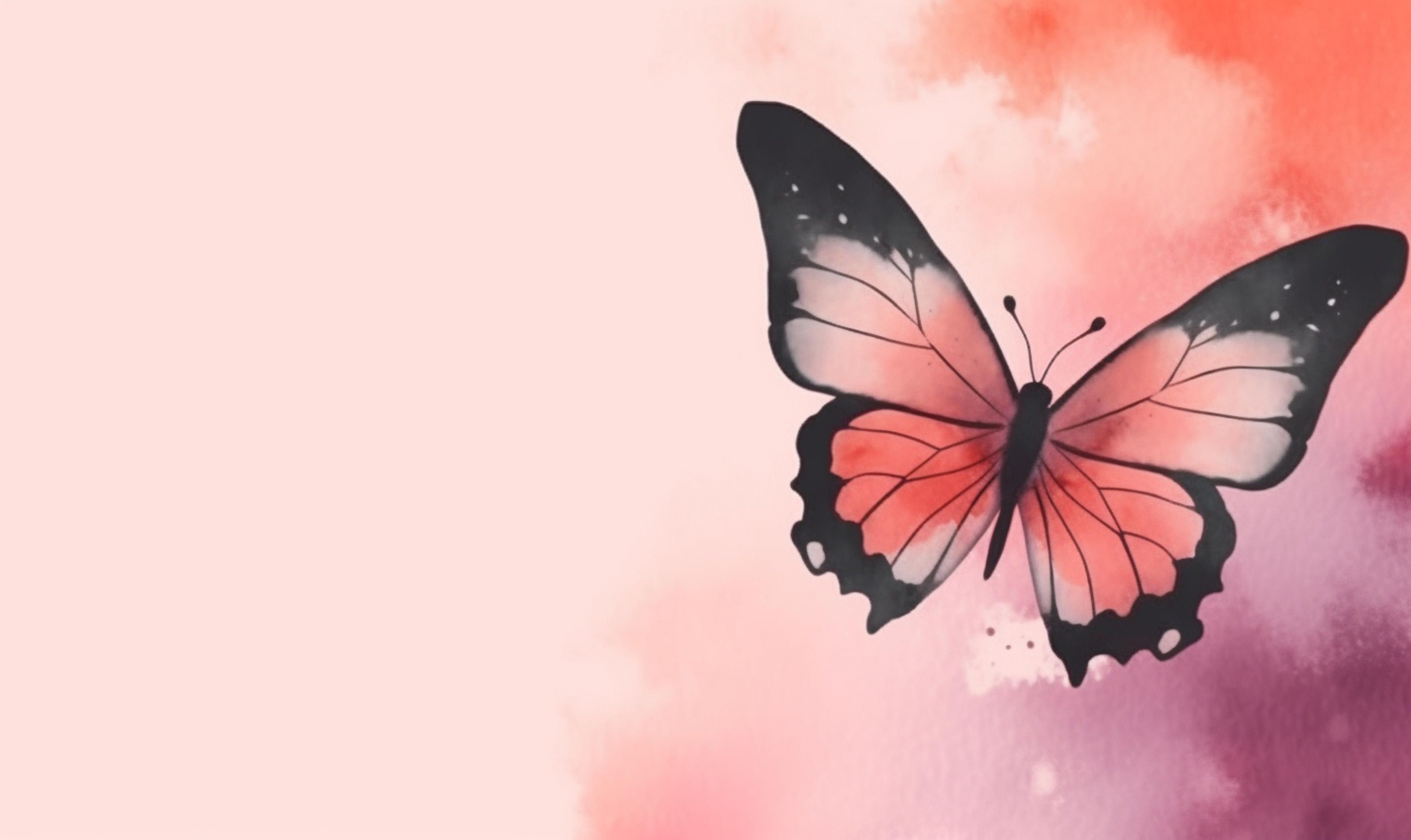 Simple Butterfly Wallpapers - 4k, HD Simple Butterfly Backgrounds on ...