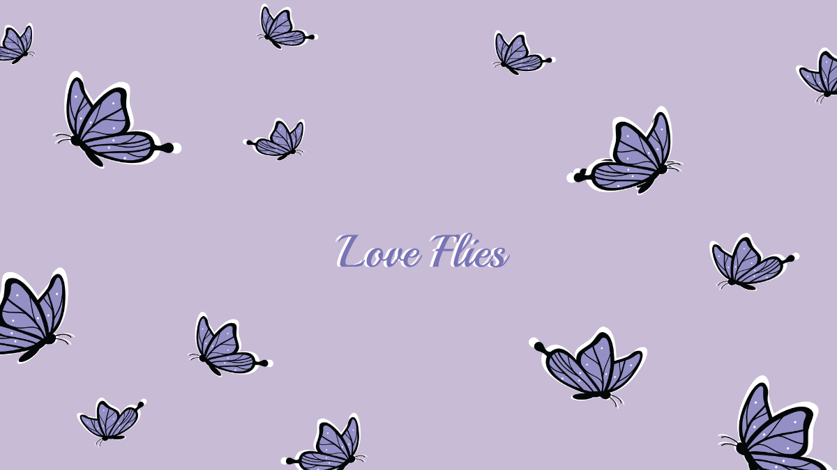 Simple Butterfly Wallpapers - 4k, HD Simple Butterfly Backgrounds on ...