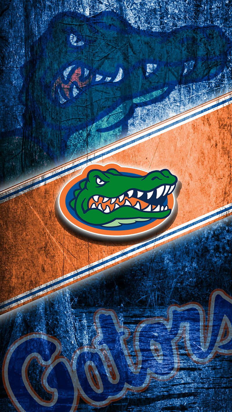 Florida Gators Wallpapers - 4k, HD Florida Gators Backgrounds On ...