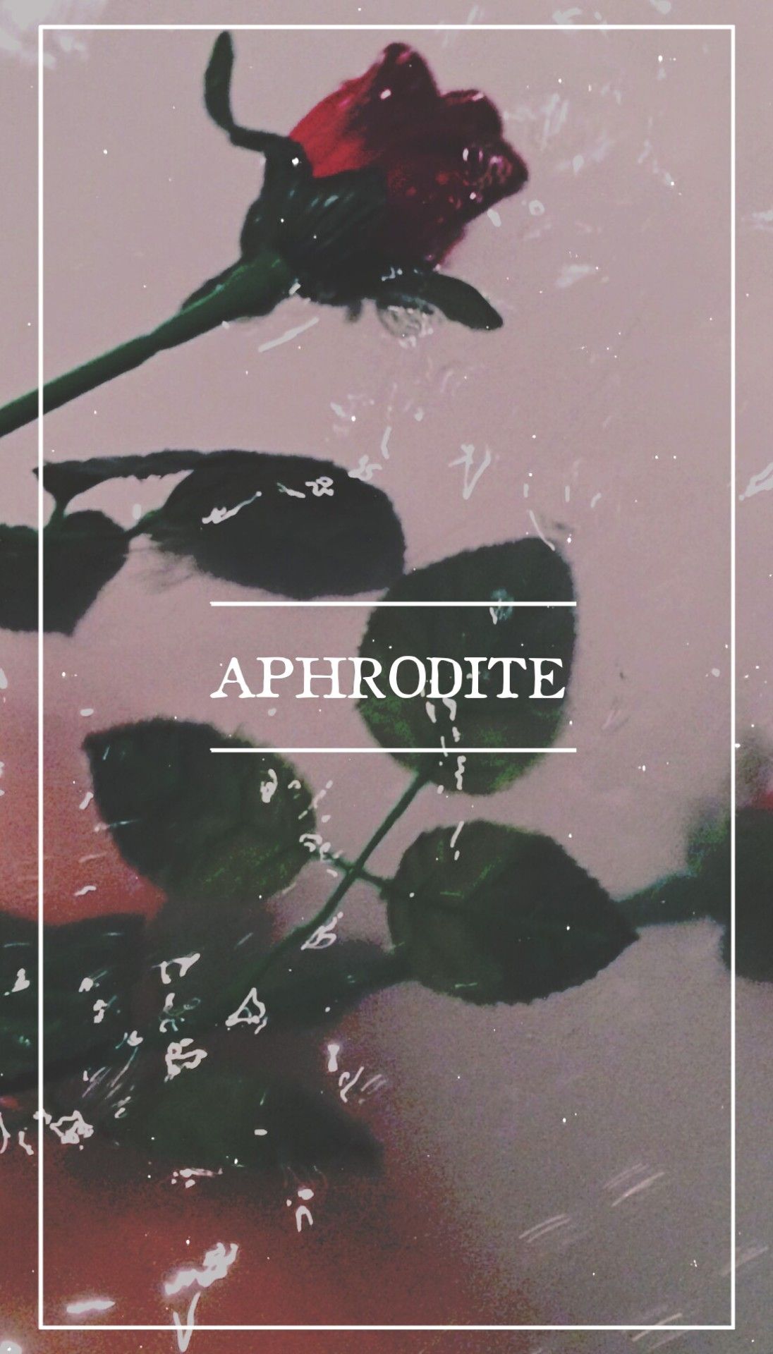 Aphrodite Wallpapers - 4k, HD Aphrodite Backgrounds on WallpaperBat