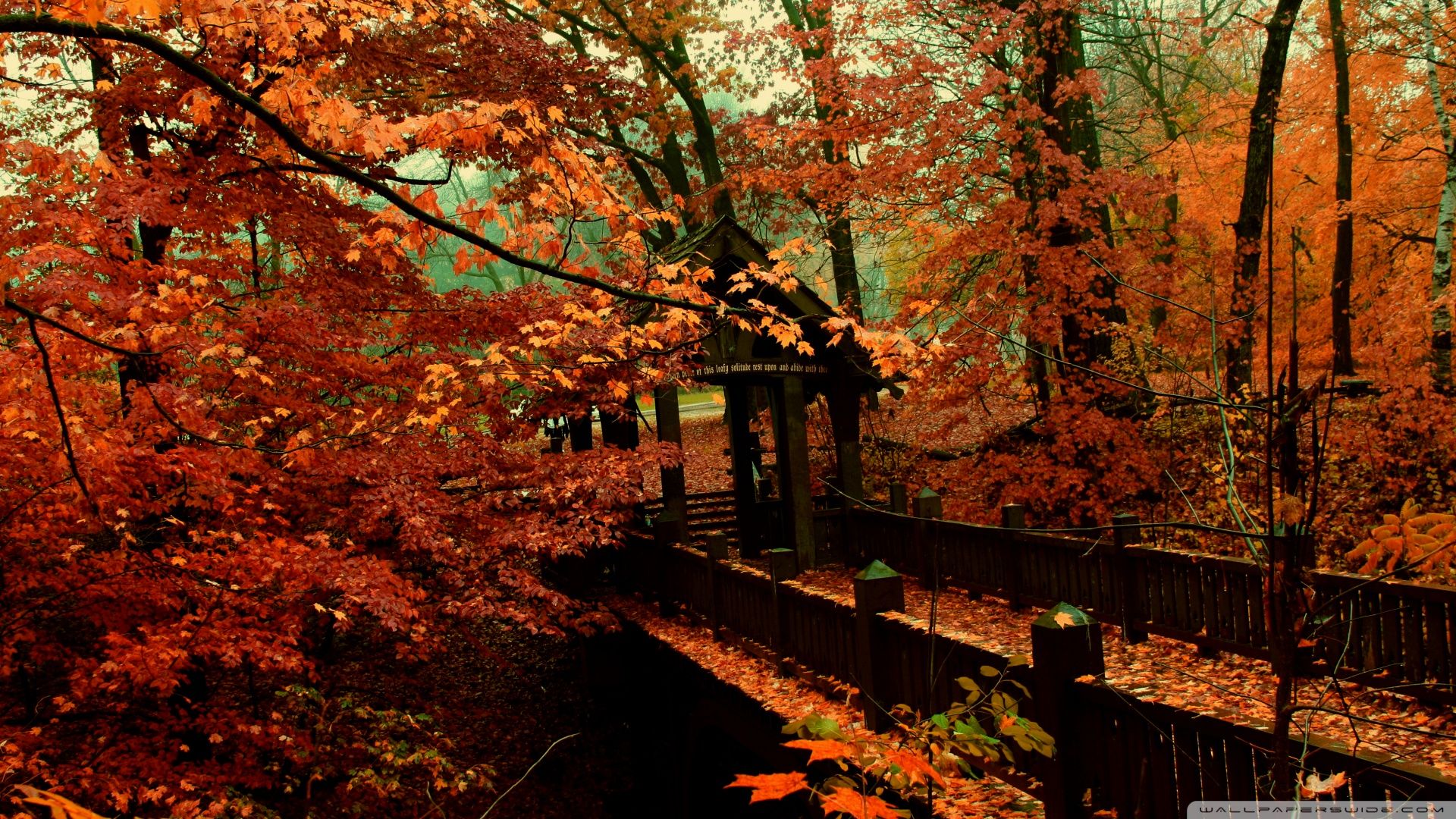 Autumn Desktop Wallpapers - 4k, HD Autumn Desktop Backgrounds on