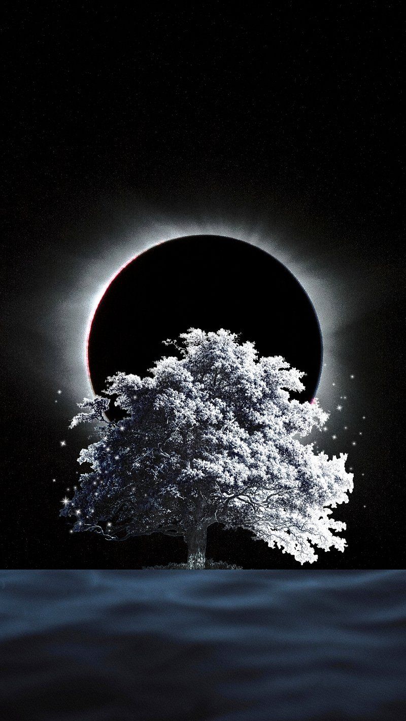 Dark Light Wallpapers - 4k, HD Dark Light Backgrounds on WallpaperBat