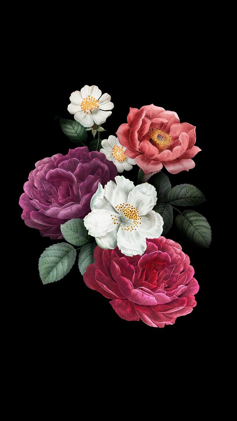 Vintage Rose iPhone Wallpapers - 4k, HD Vintage Rose iPhone Backgrounds