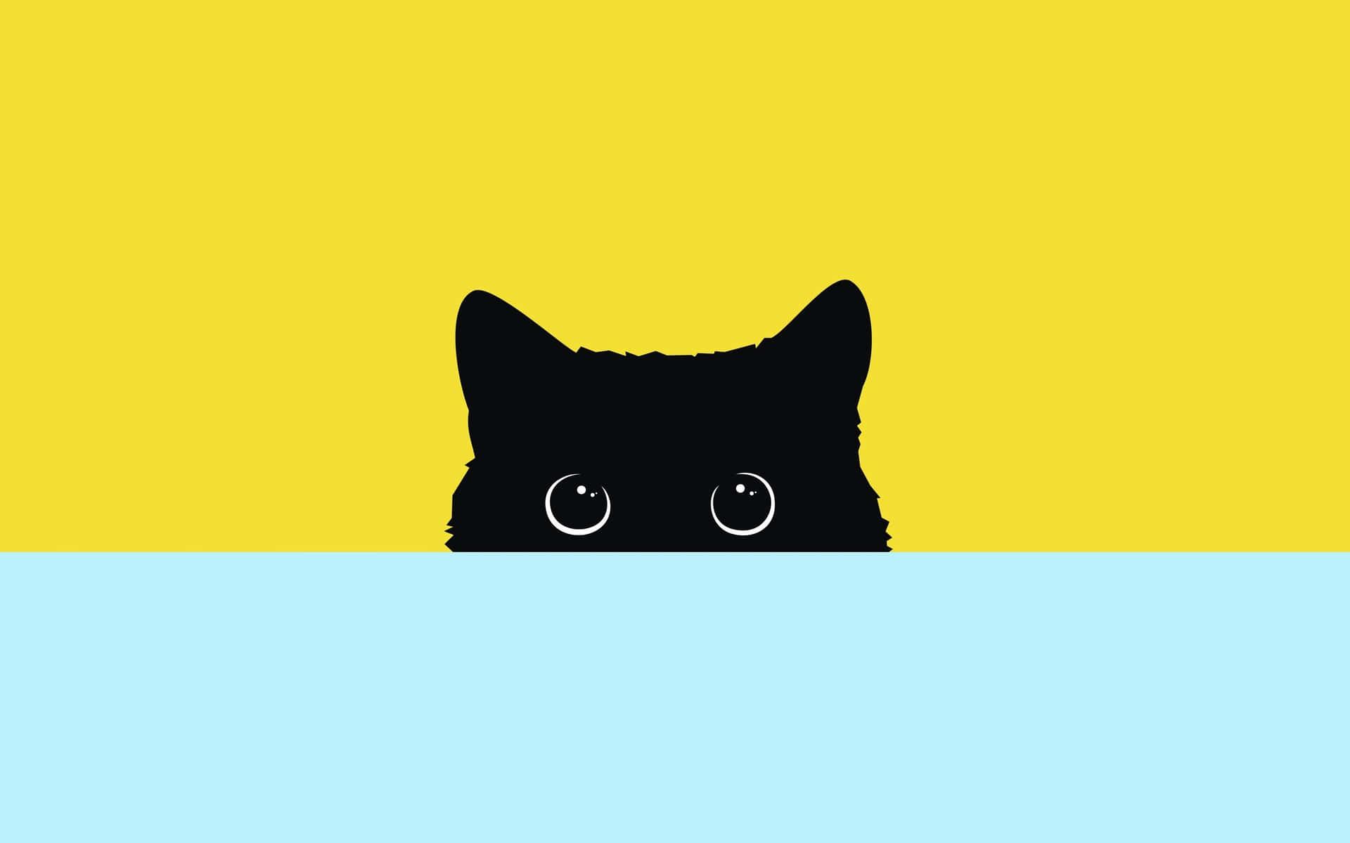 Minimalistic Cat Wallpapers - 4k, HD Minimalistic Cat Backgrounds on ...