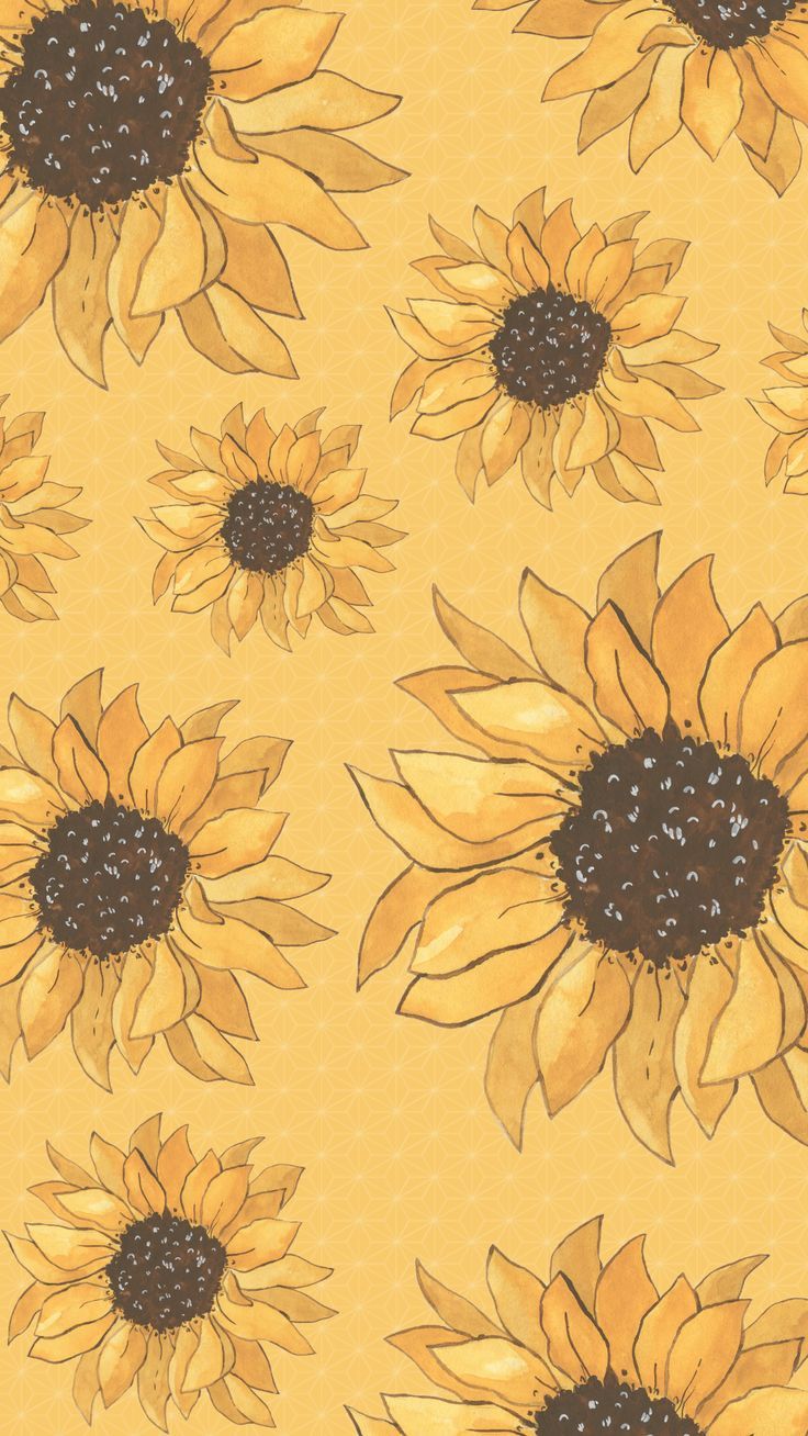 Vintage Sunflower iPhone Wallpapers - 4k, HD Vintage Sunflower iPhone ...