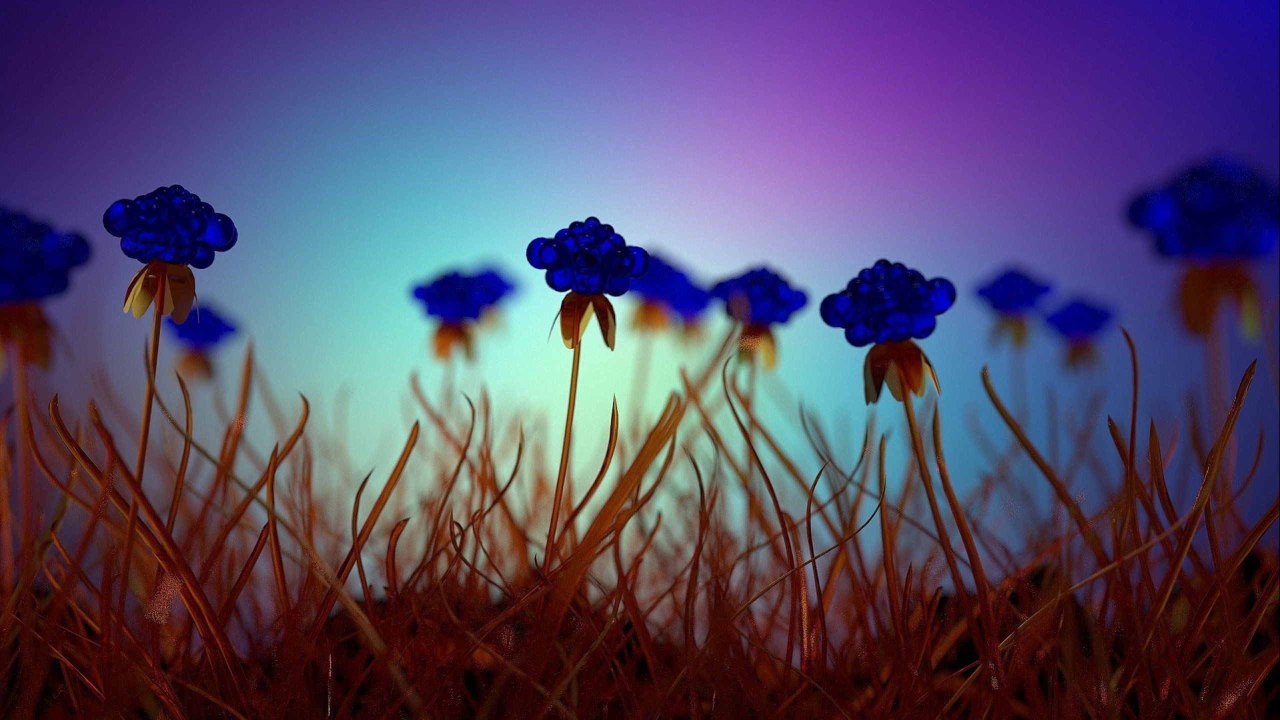 Blue Flower Field Wallpapers - 4k, HD Blue Flower Field Backgrounds on ...