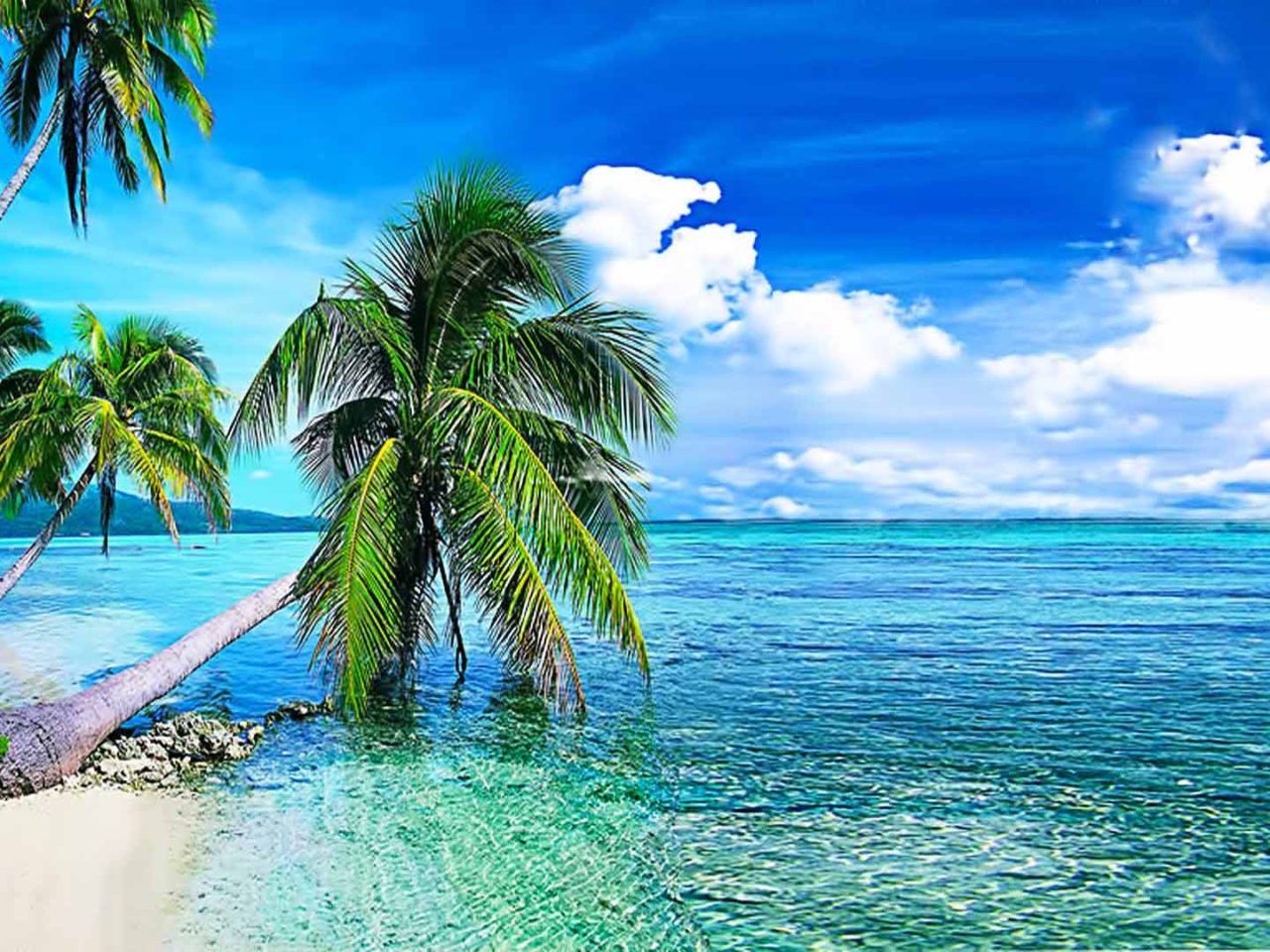 Tropical Computer Wallpapers - 4k, HD Tropical Computer Backgrounds on ...