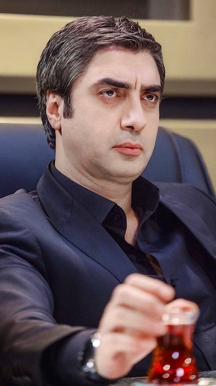 Polat Alemdar Wallpapers - 4k, HD Polat Alemdar Backgrounds on WallpaperBat