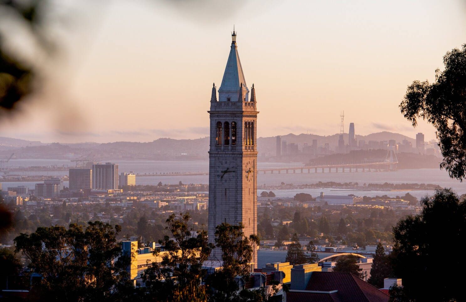 berkeley photoshop download