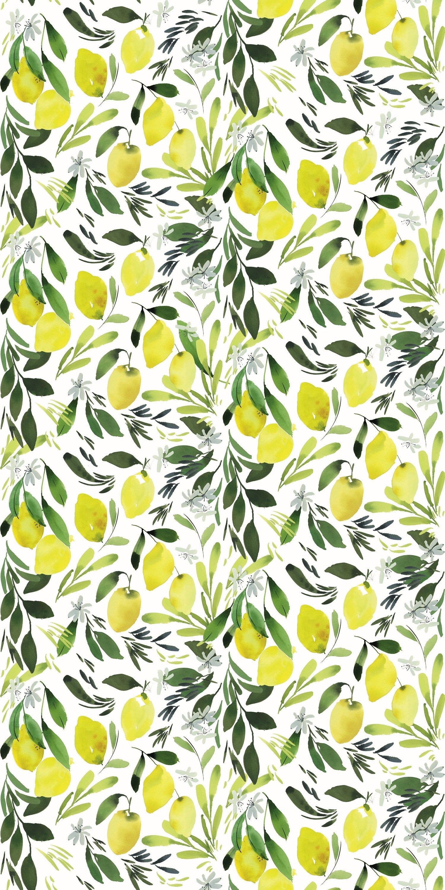 Lemon Wallpapers - 4k, HD Lemon Backgrounds on WallpaperBat