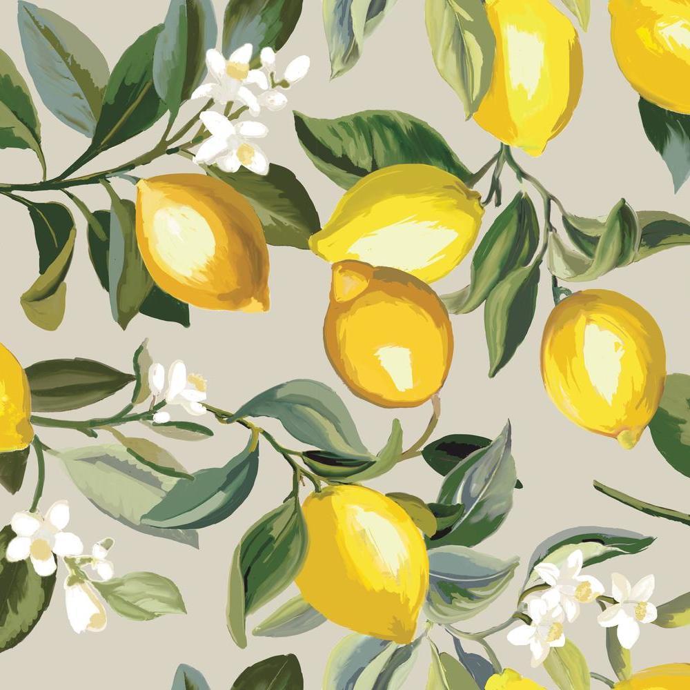 Lemon Wallpapers - 4k, HD Lemon Backgrounds on WallpaperBat