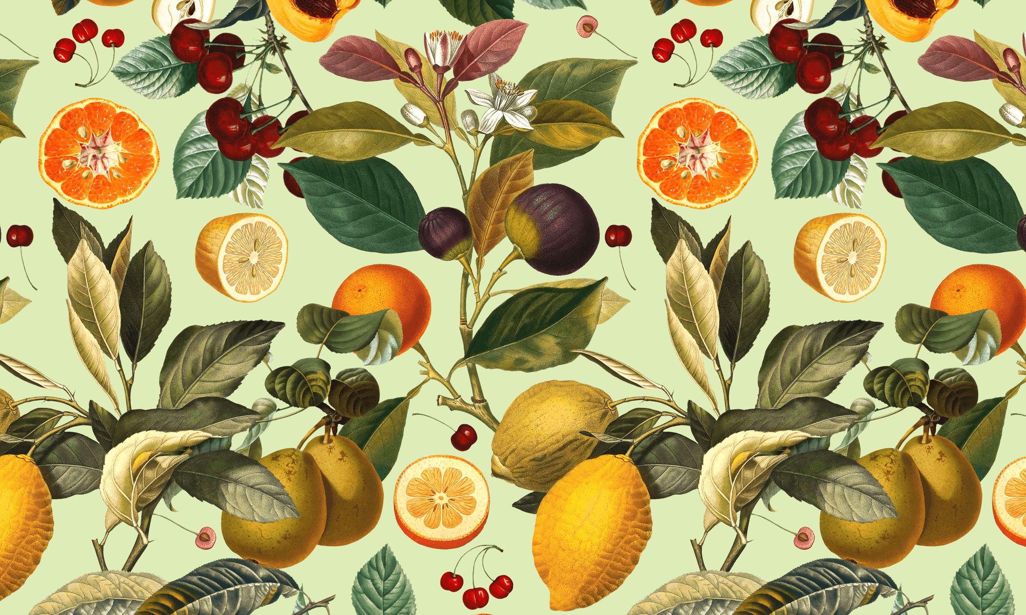 lemons-wallpapers-4k-hd-lemons-backgrounds-on-wallpaperbat