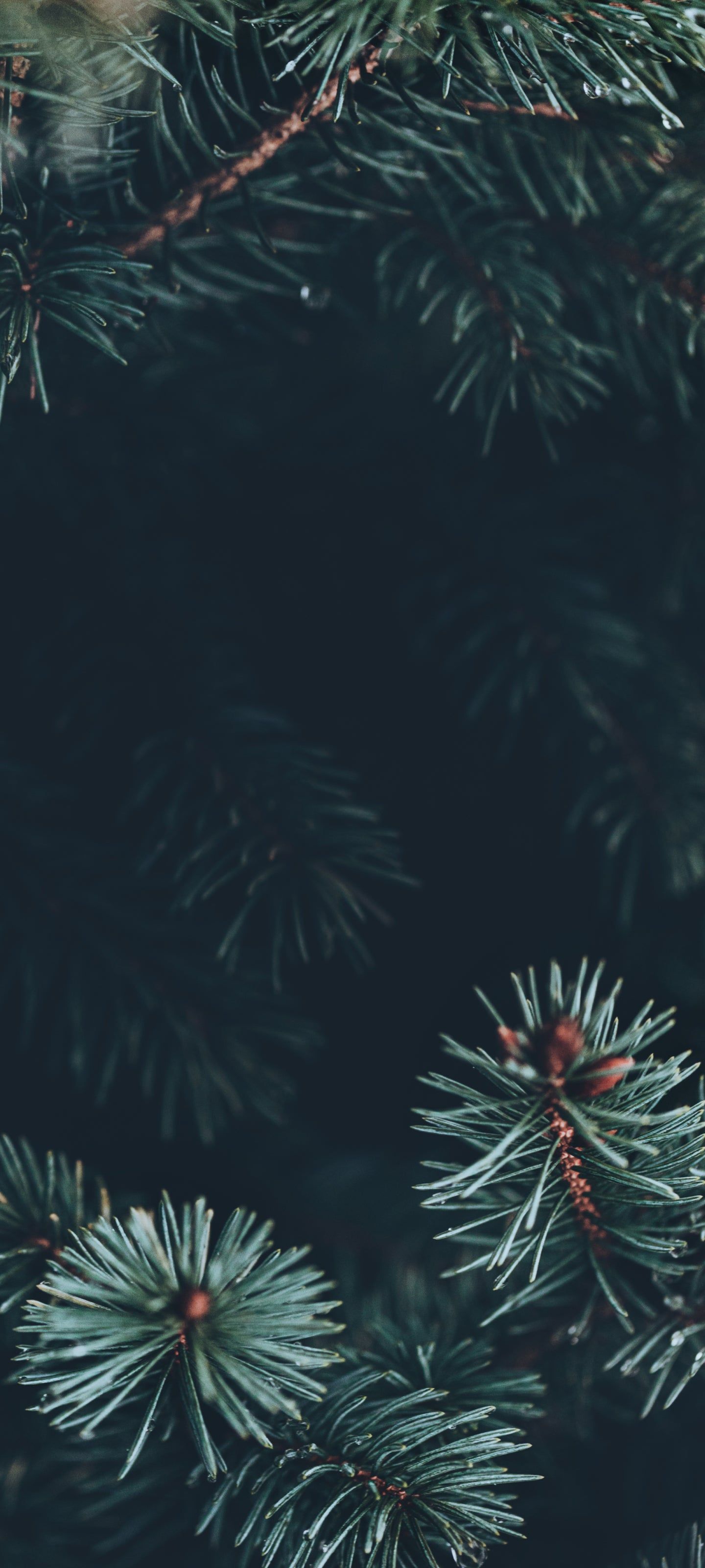 Holiday Phone Wallpapers - 4k, HD Holiday Phone Backgrounds on WallpaperBat