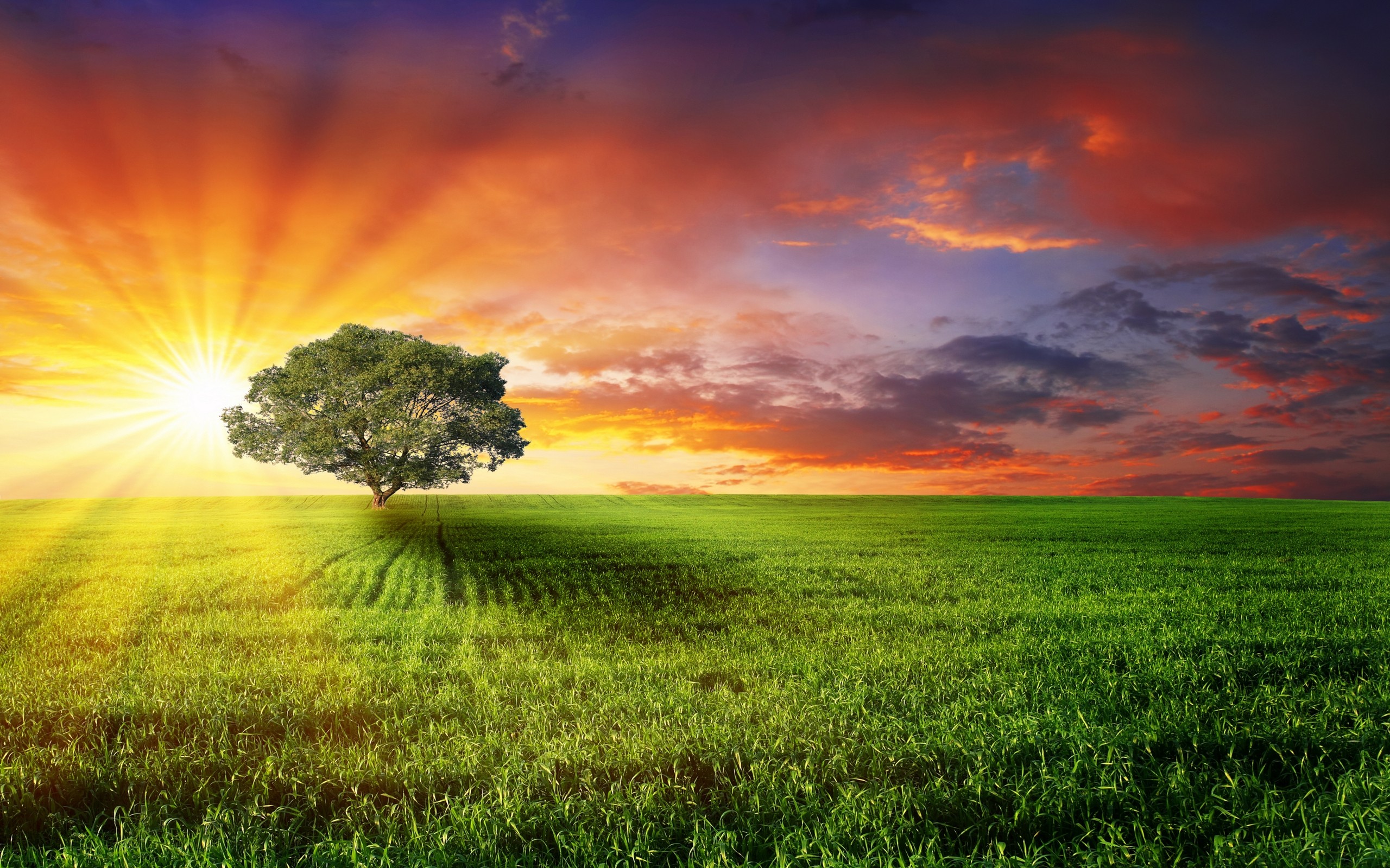 2560x1600 Daily Featured wallpaper - Sunset bliss | HD Wallpapers Wallpaper