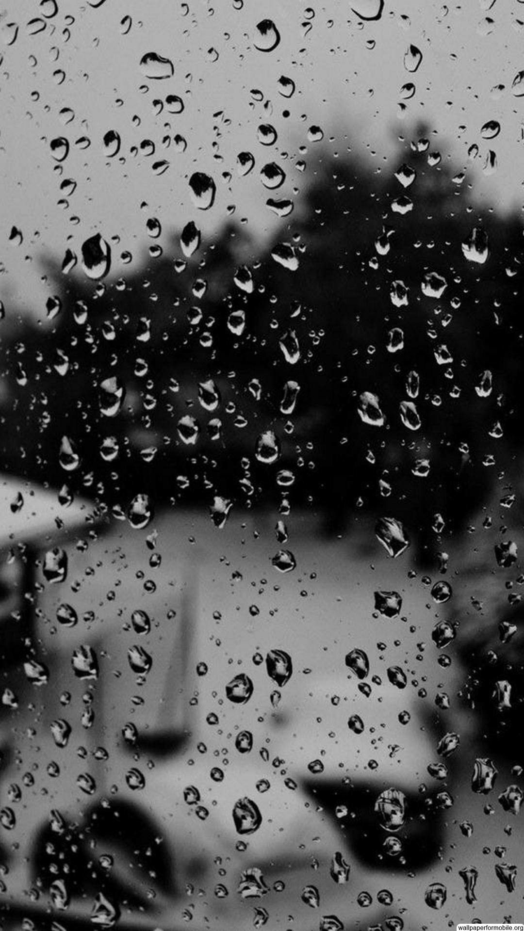 Black Rain Wallpapers - 4k, Hd Black Rain Backgrounds On Wallpaperbat